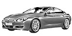 BMW F06 C20F4 Fault Code