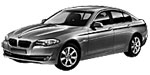 BMW F10 C20F4 Fault Code
